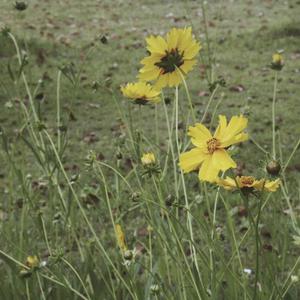 四虎成人影院9丨
